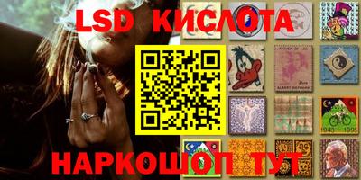 прущие грибы Малоярославец
