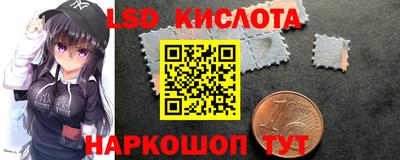прущие грибы Малоярославец