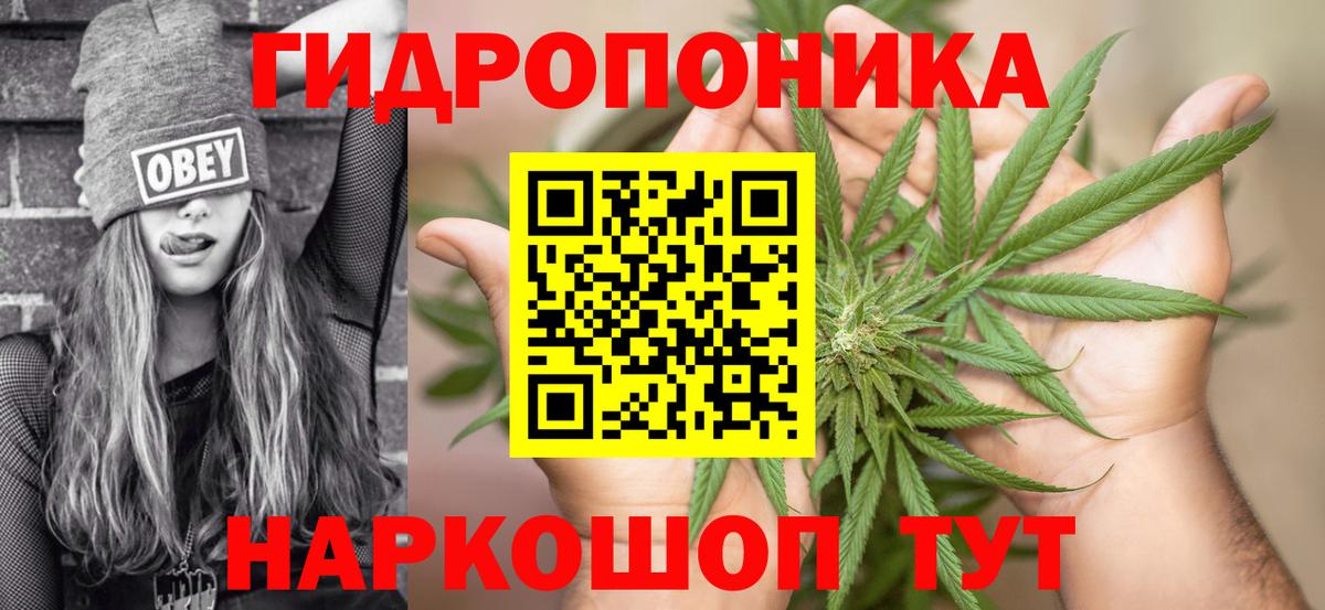 Каннабис план Ангарск